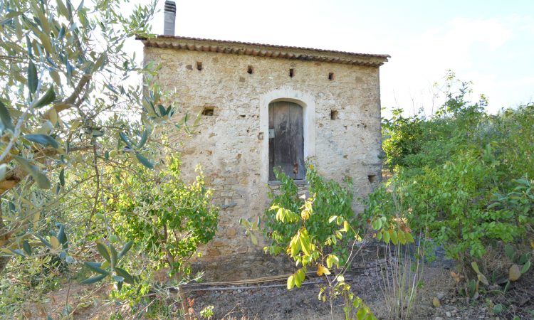 Casa con terreno e rustico in pietra a Oliveto Citra 2536 - Tutte le immagini