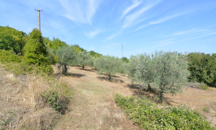 Casa indipendente con terreno a Sant&rsquo;Angelo dei Lombardi 2644 - Tutte le immagini